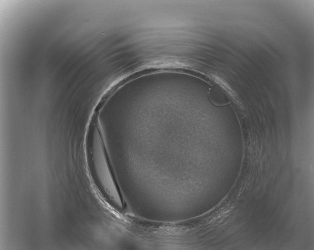 X0000058140840200509302017