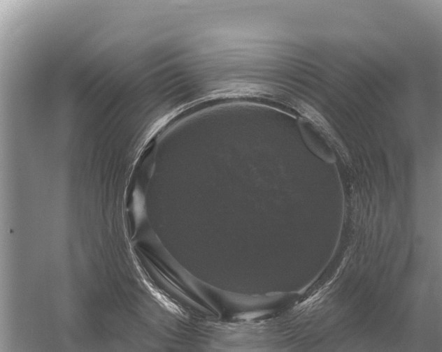 X0000058140842200509302017