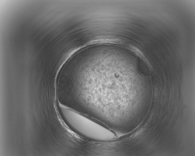 X0000058140844200509302017