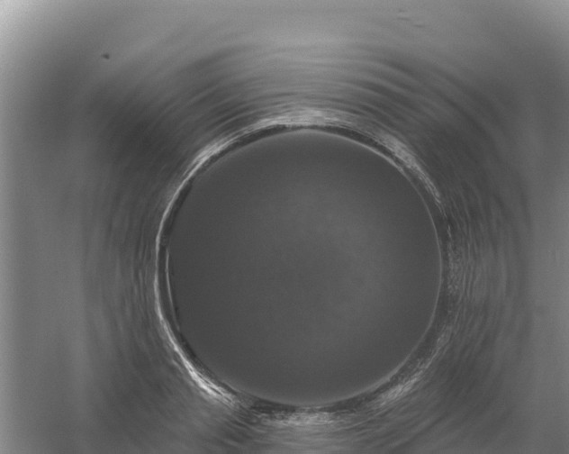 X0000058140845200509302017