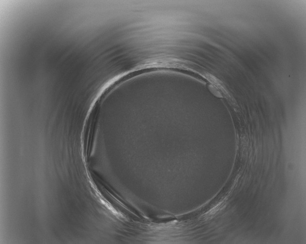 X0000058140846200509302017