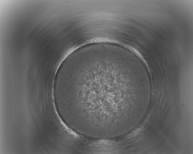 X0000058140847200509302017