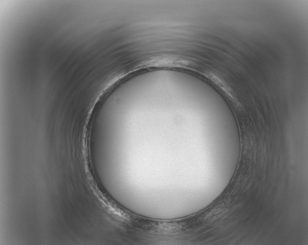 X0000058140848200509302017