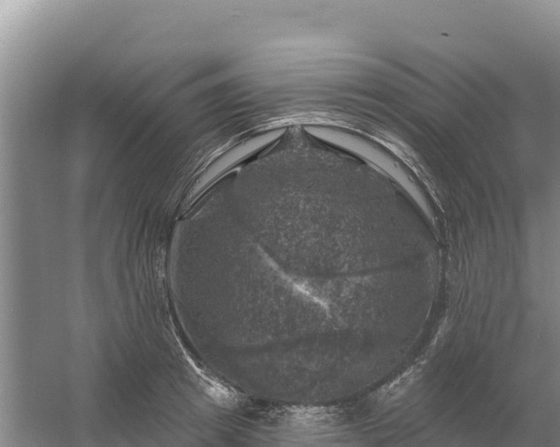 X0000058140849200509302017