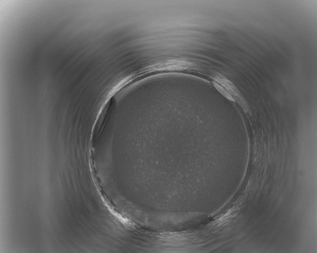 X0000058140850200509302017