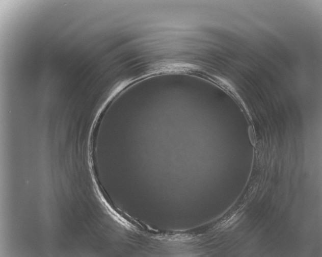 X0000058140851200509302017