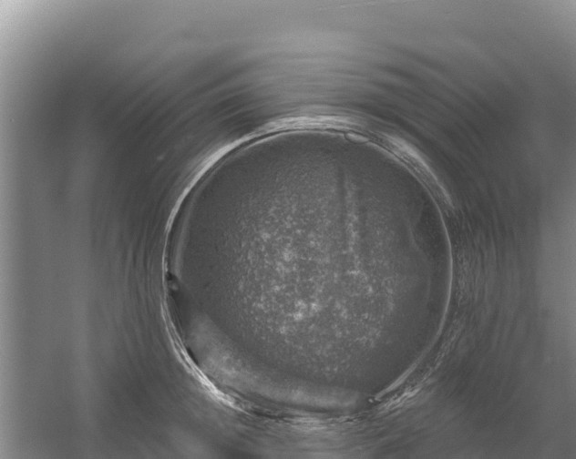 X0000058140852200509302017