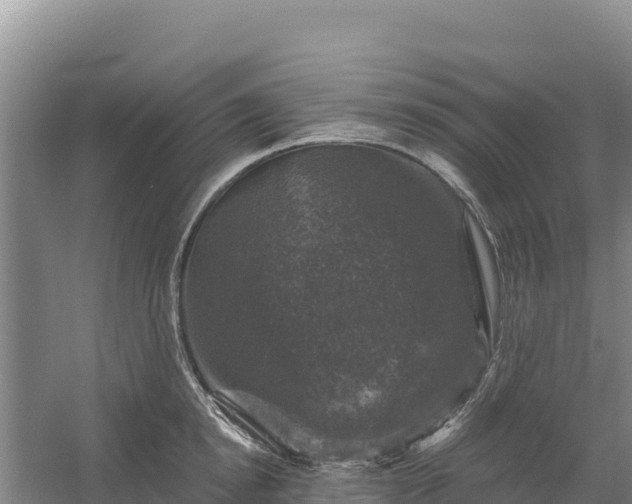 X0000058140854200509302017