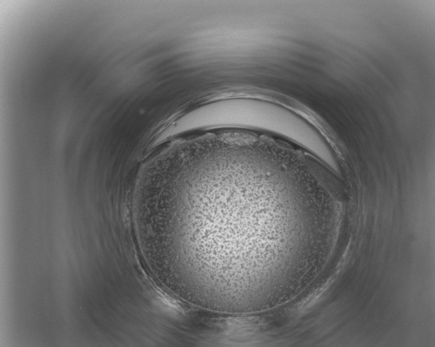 X0000058140857200509302017