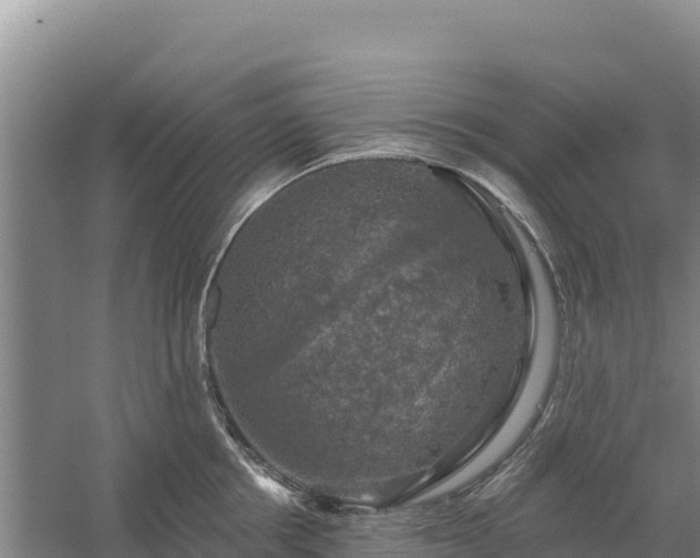 X0000058140858200509302017