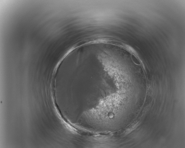 X0000058140859200509302017