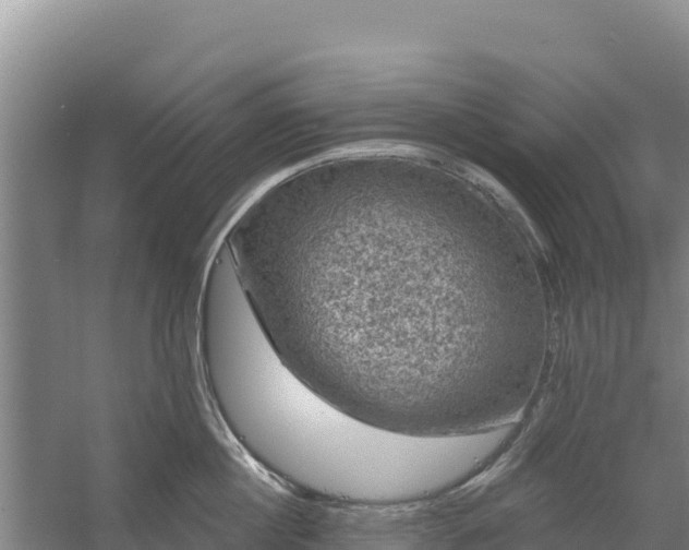 X0000058140860200509302017