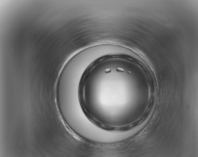 X0000058140862200509302017