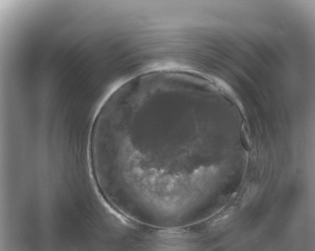 X0000058140863200509302017