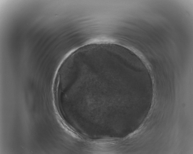 X0000058140864200509302017