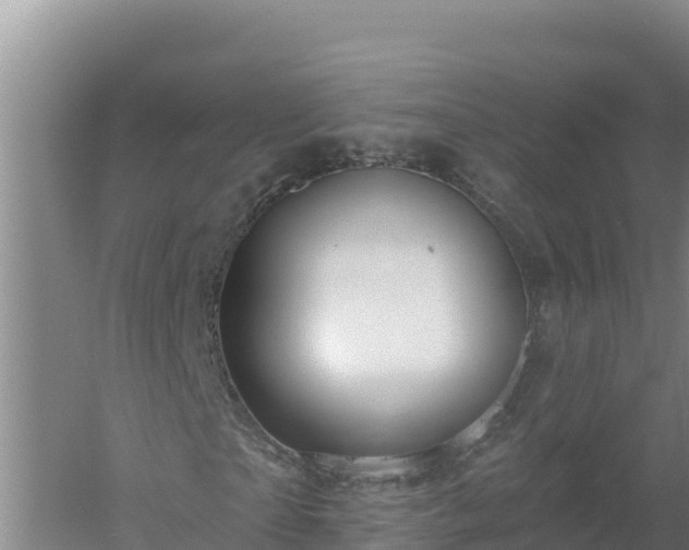 X0000058140865200509302016