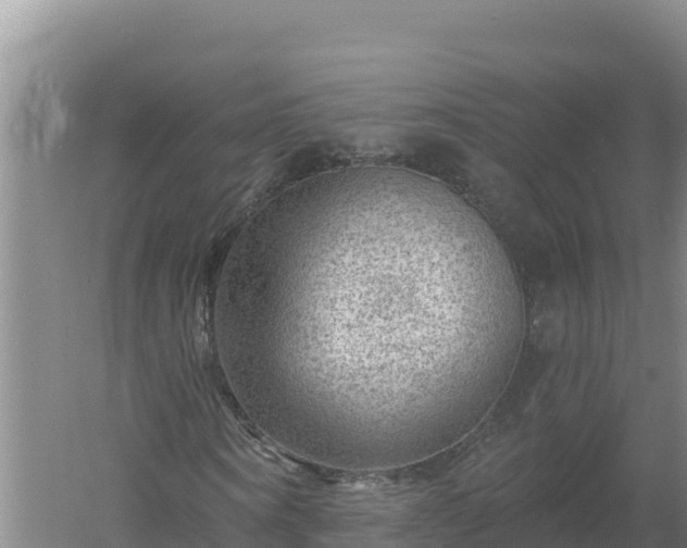 X0000058140866200509302016