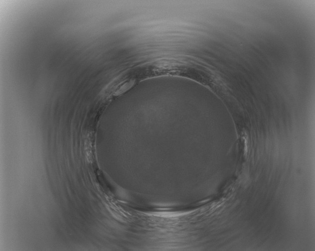 X0000058140868200509302016