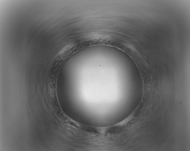 X0000058140869200509302016