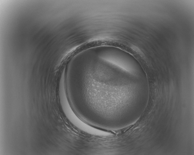 X0000058140872200509302016