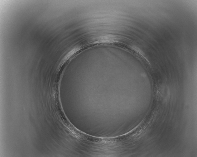 X0000058140874200509302016