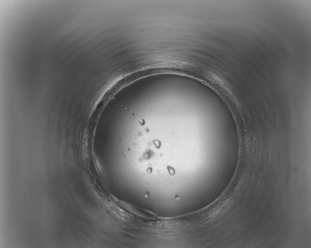 X0000058140875200509302016