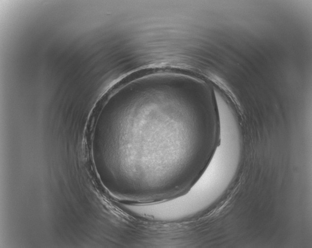 X0000058140876200509302016