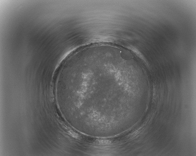 X0000058140878200509302016