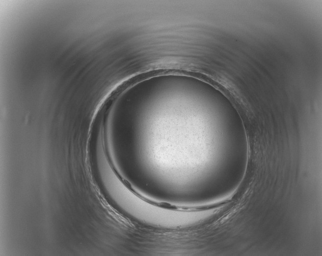 X0000058140880200509302016