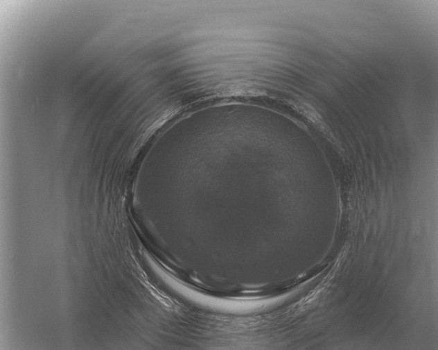 X0000058140881200509302016