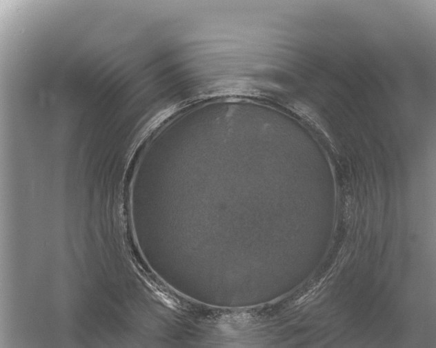 X0000058140882200509302016