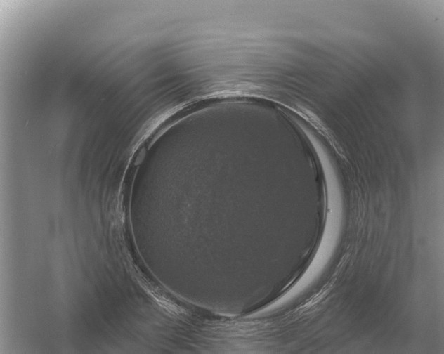 X0000058140885200509302016