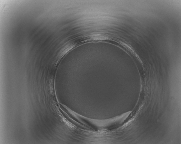 X0000058140889200509302016