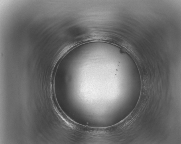 X0000058140890200509302016