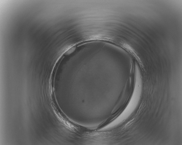 X0000058140892200509302016