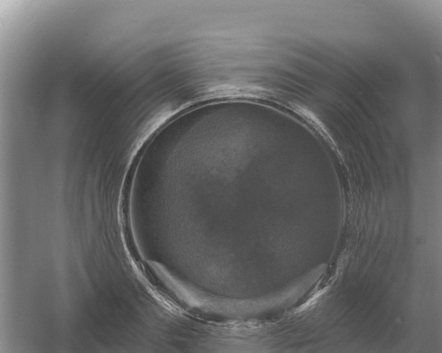 X0000058140893200509302016