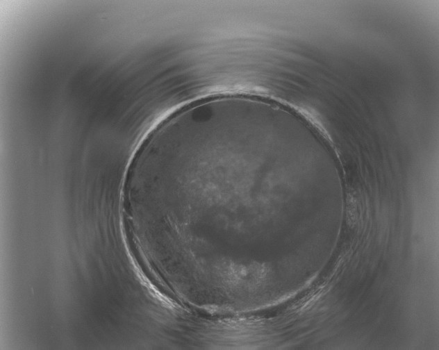 X0000058140895200509302016