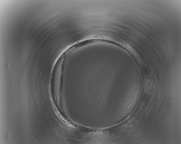 X0000058140896200509302016