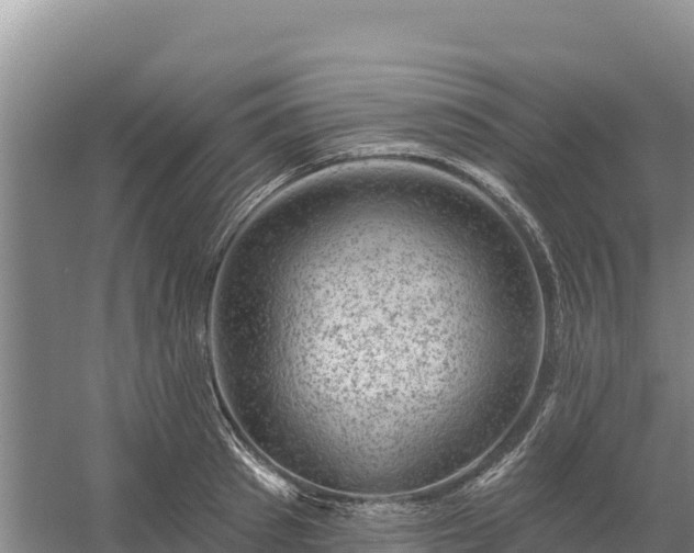 X0000058140897200509302016