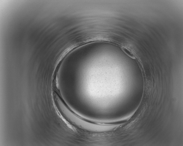 X0000058140898200509302016