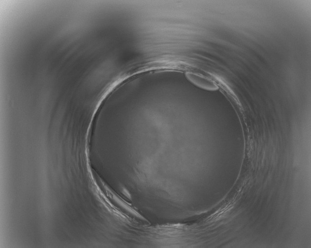 X0000058140899200509302016