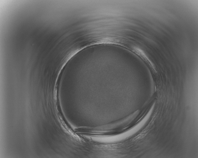 X0000058140900200509302016