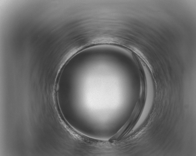 X0000058140901200509302016