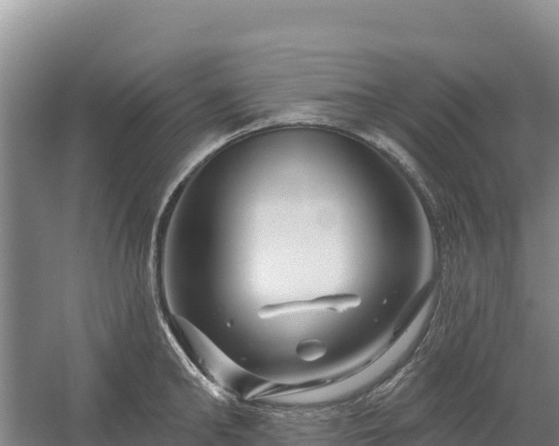 X0000058140902200509302016