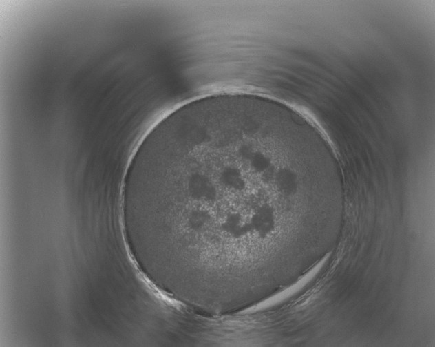 X0000058140903200509302016