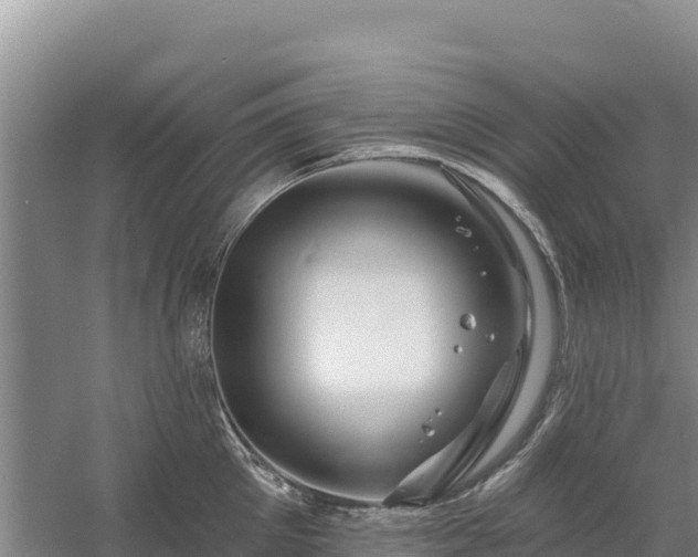 X0000058140905200509302015