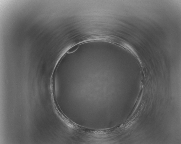 X0000058140907200509302015