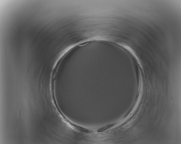 X0000058140910200509302015