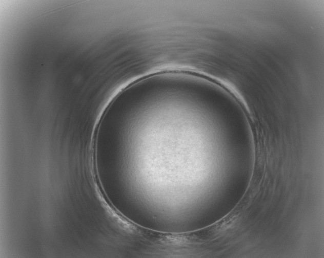 X0000058140911200509302015