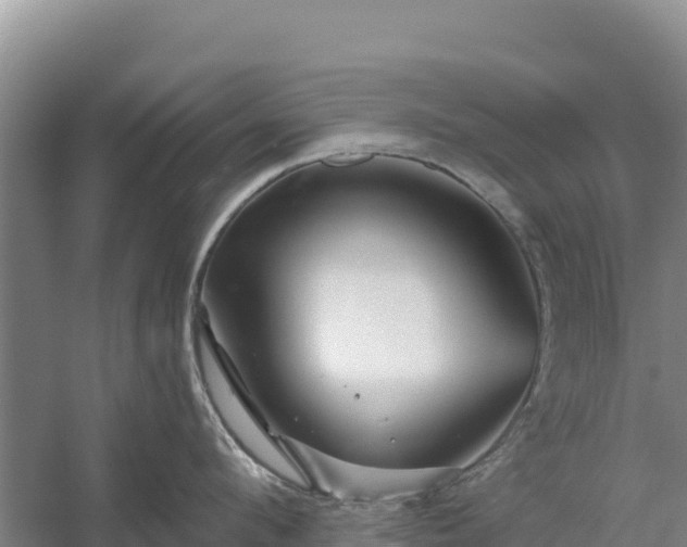 X0000058140912200509302015